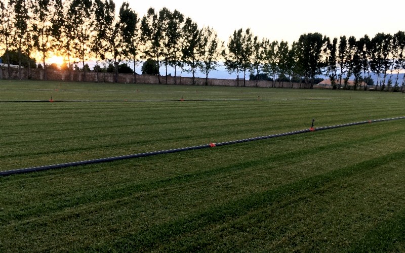 Rulo �im D�semesi